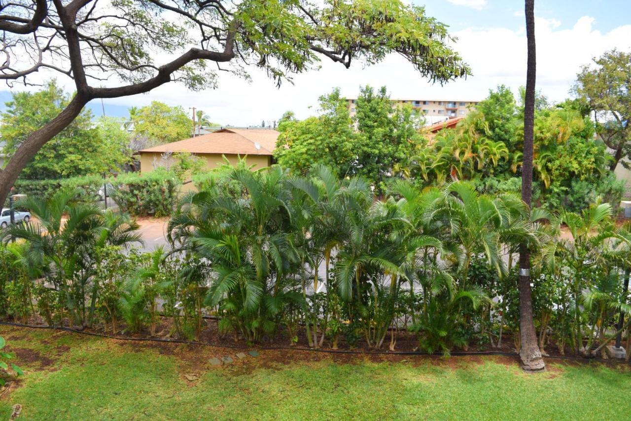Beautiful Private Condo Walking Distance To Beach Mv2321 Kihei Eksteriør bilde
